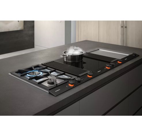 VI232121  Gaggenau