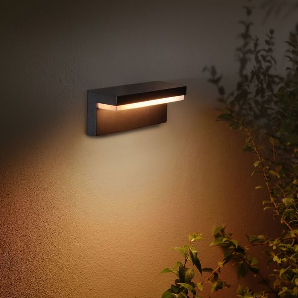 Philips Lighting Nyro Hue White and Colour Ambiance Muurlamp outdoor