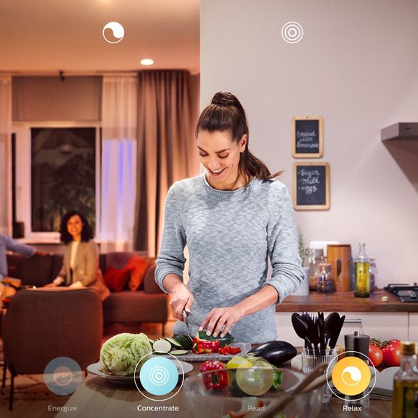 Philips Lighting Hue White ambiance Fair-hangverlichting