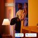 Philips Lighting Hue White ambiance Fair-hangverlichting