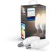 Philips Lighting Hue White E14 Duopack met Bluetooth