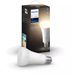 Philips Lighting Hue White 1 lamp, A67 E27