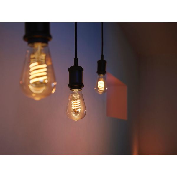 Philips Lighting Hue White filament Set van 1 ST64 E27 Filament Edison