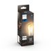 Philips Lighting Hue White filament Set van 1 ST64 E27 Filament Edison