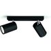 Philips Lighting KOSIPO bar/tube black 2xNW 230V