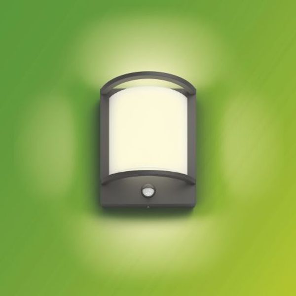 Philips Lighting Samondra IR wall lantern anthracite 1x12