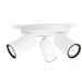 Philips Lighting myLiving Spot 50583/31/PN