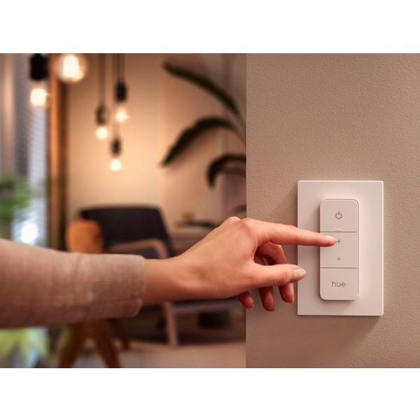 Philips Lighting Hue Dimmer switch