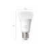 Philips Lighting Hue A60 slimme lamp Fitting E27 1100K zacht warmwit (2-pack)