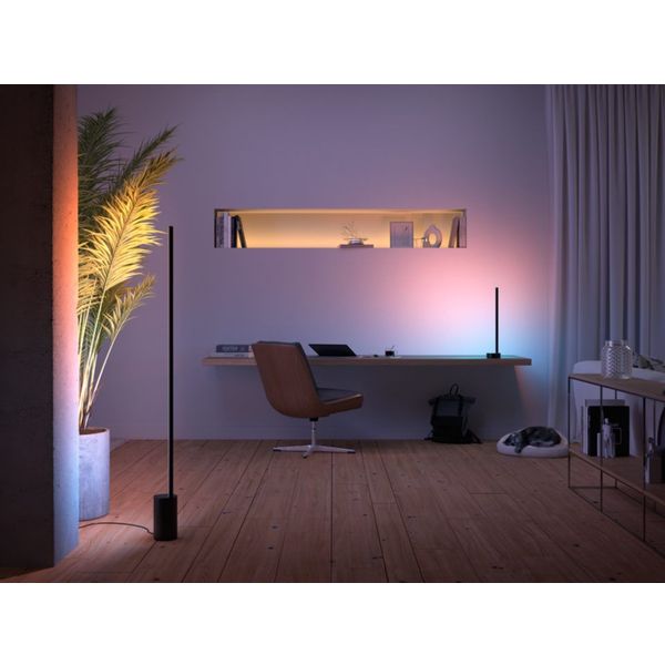 Philips Lighting Signe Hue White and Color Ambiance gradient vloerlamp Black