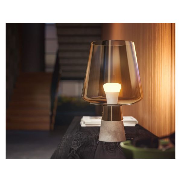 Philips Lighting Hue A60 slimme lamp Fittting E27 800K zacht warmwit (2-pack)