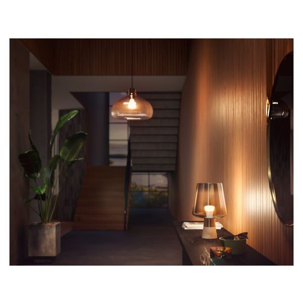 Philips Lighting Hue A60 slimme lamp Fitting E27 800K zacht warmwit (3-pack)