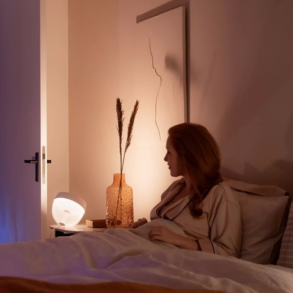 Philips Lighting Hue Iris Tafellamp Zwart