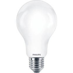 Philips Lighting LED-lamp Classic E27 A67 13W-120W WW          