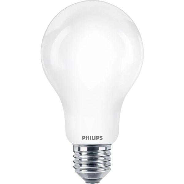 Philips Lighting LED-lamp Classic E27 A67 13W-120W WW          