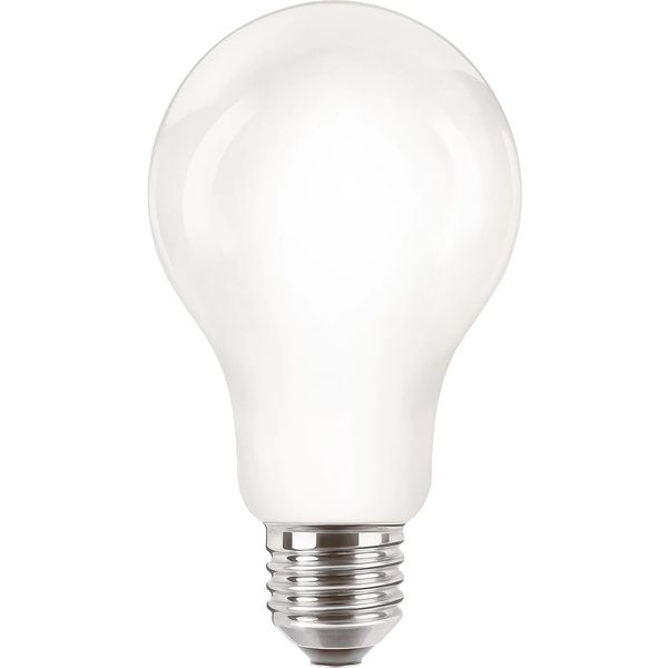 Philips Lighting LED-lamp Classic E27 A67 13W-120W WW          