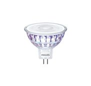 LED lampen