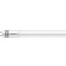 Philips Lighting LED T8 UN 600mm 8W G13 CW HO 1CT/4