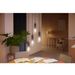 Philips Lighting Hue White ambiance filament ST72 Edison - E27 slimme lamp