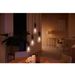 Philips Lighting Hue White ambiance filament ST72 Edison - E27 slimme lamp