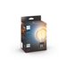 Philips Lighting Hue White ambiance filament G93 globe - E27 slimme lamp