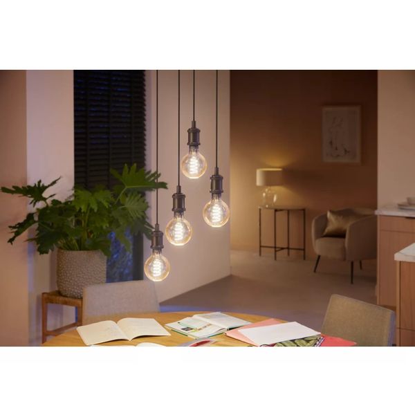 Philips Lighting Hue White ambiance filament G93 globe - E27 slimme lamp