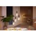 Philips Lighting Hue White ambiance filament G93 globe - E27 slimme lamp