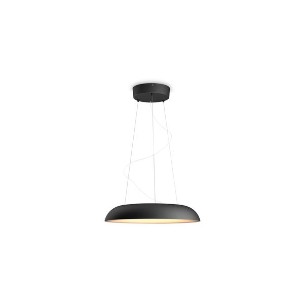 Philips Lighting Amaze Hue White ambiance hanglamp Black