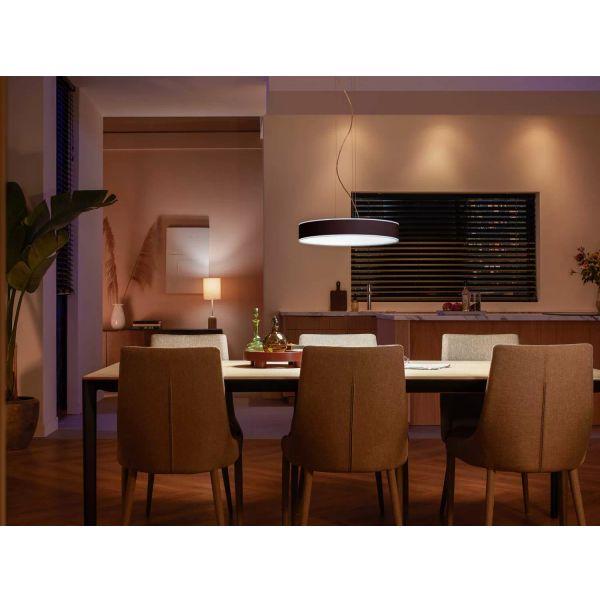 Philips Lighting Enrave Hue White ambiance hanglamp Black