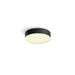 Philips Lighting Enrave Hue White ambiance kleine plafondlamp Black