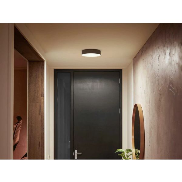 Philips Lighting Enrave Hue White ambiance kleine plafondlamp Black