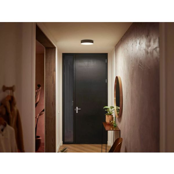 Philips Lighting Enrave Hue White ambiance kleine plafondlamp Black