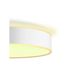 Philips Lighting Devere Hue White ambiance grote plafondlamp White