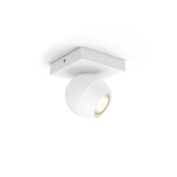 Philips Lighting Buckram Hue White Ambiance enkele spot ext. 1x5W White