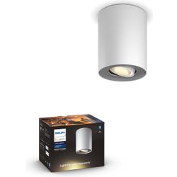 Philips Lighting Pillar Hue White Ambiance 1-lichts Spot white 