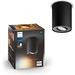 Philips Lighting Pillar Hue White ambiance single spot 1x5W 230V black