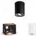 Philips Lighting Pillar Hue White ambiance single spot 1x5W 230V black