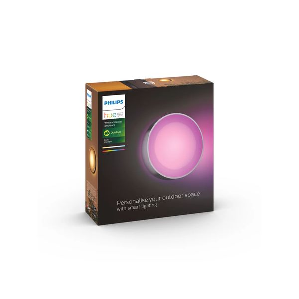 Philips Lighting Daylo Hue White and Color Ambiance muurlamp 1x15W Inox