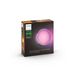 Philips Lighting Daylo Hue White and Color Ambiance muurlamp 1x15W Inox