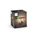 Philips Lighting Inara Hue White buitenwandlamp Black