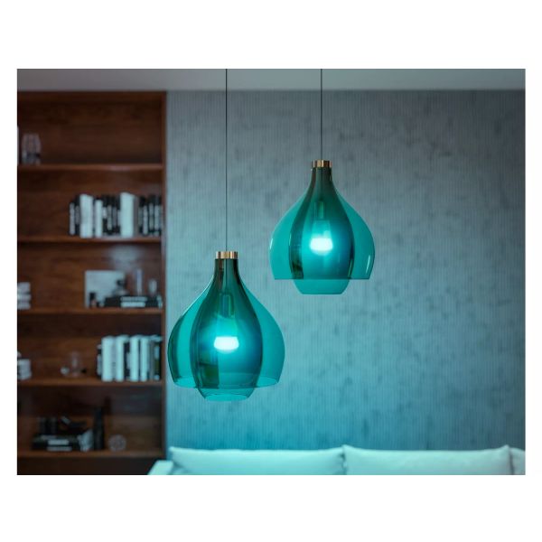 Philips Lighting Hue White and Color Ambiance A60 - E27 slimme lamp - 1100 (2-pack)