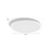 Philips Lighting Tento Hue White and Color Ambiance plafondpaneel - XL - rond White