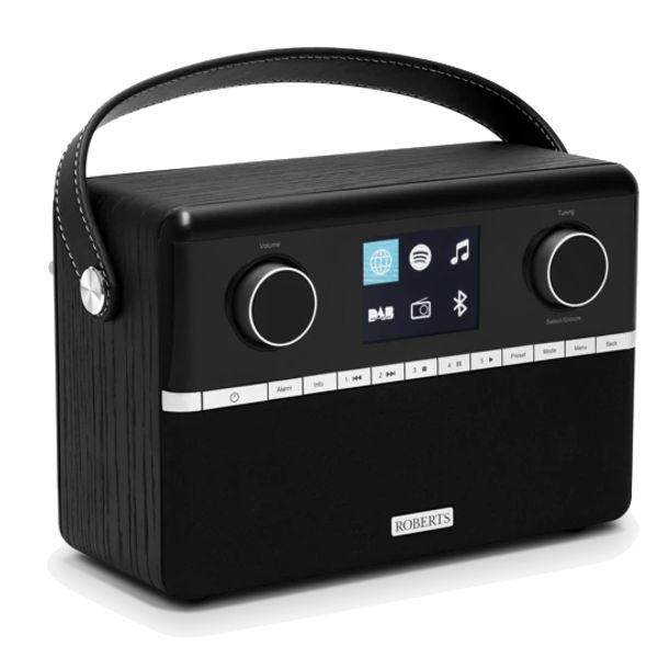 Roberts Stream 94i Black