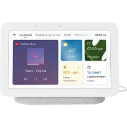 Google Google nest doorbell battery + Google hub chalk