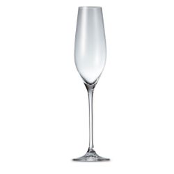 Salt & Pepper Cuvee champagneglas set/6