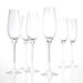 Salt & Pepper Cuvee champagneglas set/6