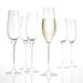 Salt & Pepper Cuvee champagneglas set/6