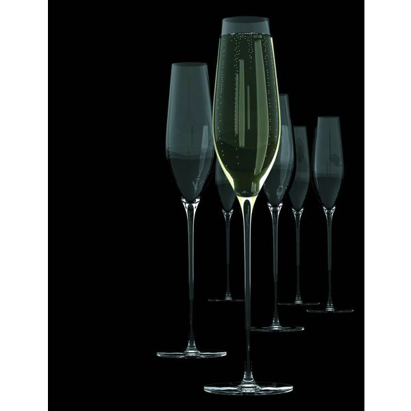 Salt & Pepper Cuvee champagneglas set/6