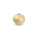 Salt & Pepper Bullet Vaas 23xH20cm goud