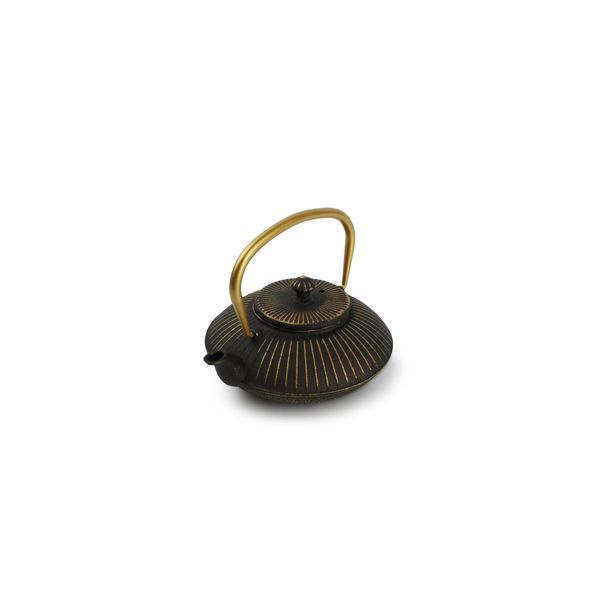 Ocha Theepot 50cl zwart/goud 